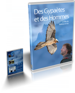 DVD Des Gypaètes et des Hommes