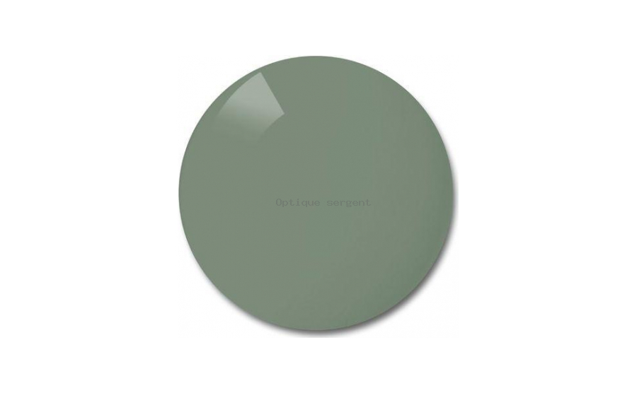 Polycarbonate dark green mirror silver 30