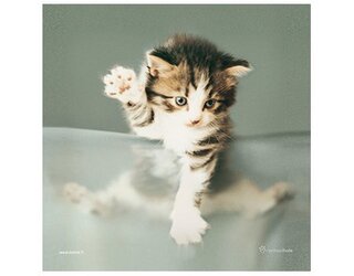 Produits entretien MICROFIBRE Rachael Hale 2