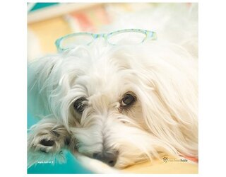 Produits entretien MICROFIBRE Rachael Hale 2