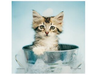 Produits entretien MICROFIBRE Rachael Hale 2