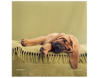 Produits entretien MICROFIBRE Rachael Hale 2