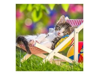 Produits entretien MICROFIBRE Bébés Chatons