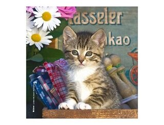 Produits entretien MICROFIBRE Bébés Chatons