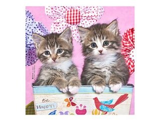 Produits entretien MICROFIBRE Bébés Chatons