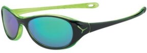 Lunettes de soleil Gecko