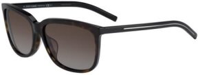 Lunettes de soleil BLACKTIE173FS-T60