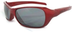 Lunettes de soleil Dolphin