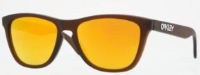 Lunettes de soleil FROGSKINS