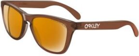 Lunettes de soleil FROGSKINS