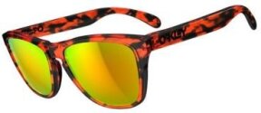 Lunettes de soleil Frogskins