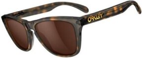 Lunettes de soleil FROGSKINS LX