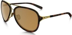 Lunettes de soleil Kick Back