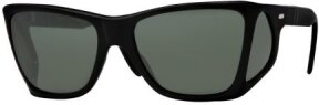 Lunettes de soleil PO0009