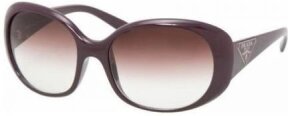 Lunettes de soleil PR27LS