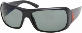 Lunettes de soleil PH4039