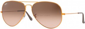 Lunettes de soleil RB3026