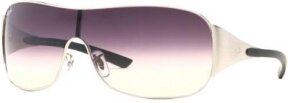 Lunettes de soleil RB3321