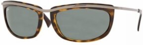 Lunettes de soleil RB4109