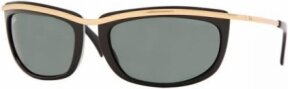 Lunettes de soleil RB4109