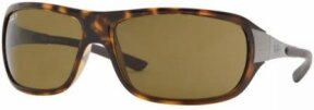 Lunettes de soleil RB4120