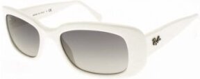 Lunettes de soleil RB4122