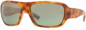 Lunettes de soleil RB4150