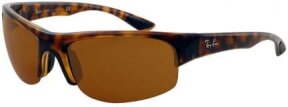 Lunettes de soleil RB4173