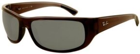 Lunettes de soleil RB4176