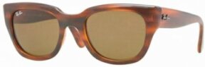 Lunettes de soleil RB4178