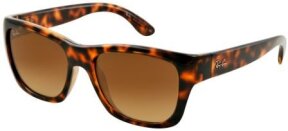 Lunettes de soleil RB4194