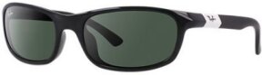 Lunettes de soleil RJ9056S