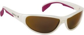 Lunettes de soleil 109