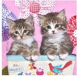 Produits entretien MICROFIBRE Bébés Chatons