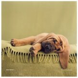 Produits entretien MICROFIBRE Rachael Hale 2