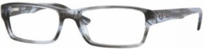 Lunettes de vue RX5169