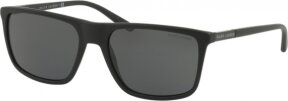 Lunettes de soleil RL8161