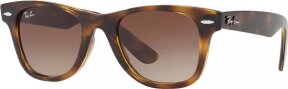 Lunettes de soleil RJ9066S