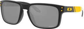 Lunettes de soleil Holbrook OO9102-S8