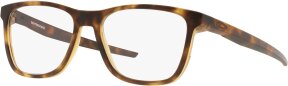 Lunettes de vue OX8163