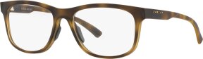 Lunettes de vue OX8175