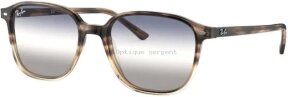 Lunettes de soleil RB2193-1327GF