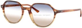 Lunettes de soleil RB2195