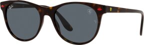 Lunettes de soleil RB2202M F613R5