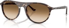 Lunettes de soleil RB2215 143151
