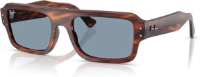 Lunettes de soleil FLACKO RB4454 139856