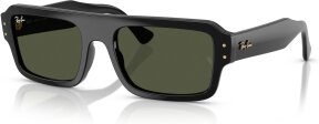 Lunettes de soleil FLACKO RB4454 667731