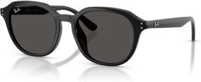 Lunettes de soleil RB4459D 901-87