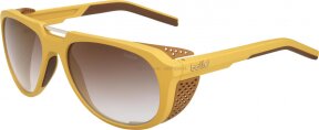 Lunettes de soleil COBALT