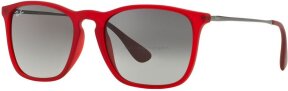 Lunettes de soleil RB4187